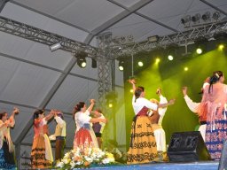 Festival de Folkore en Mula